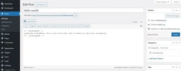 WordPress Blog